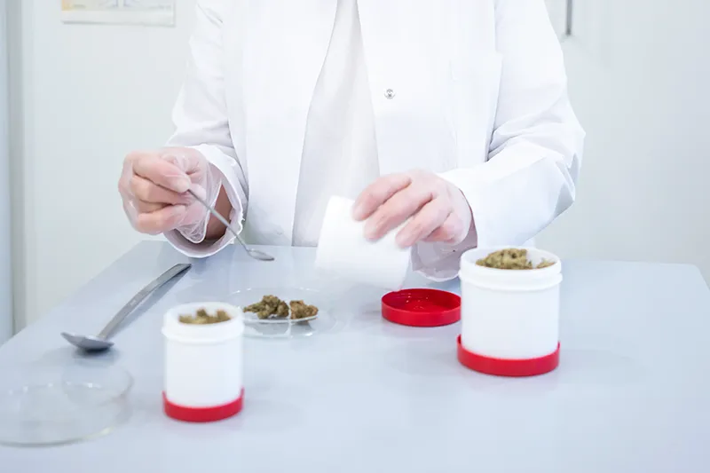 Pharmazeutische Prüfung der Cannabisprodukte