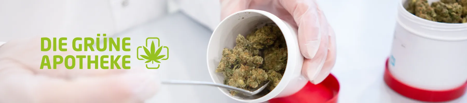 canna_header_02_1800x400