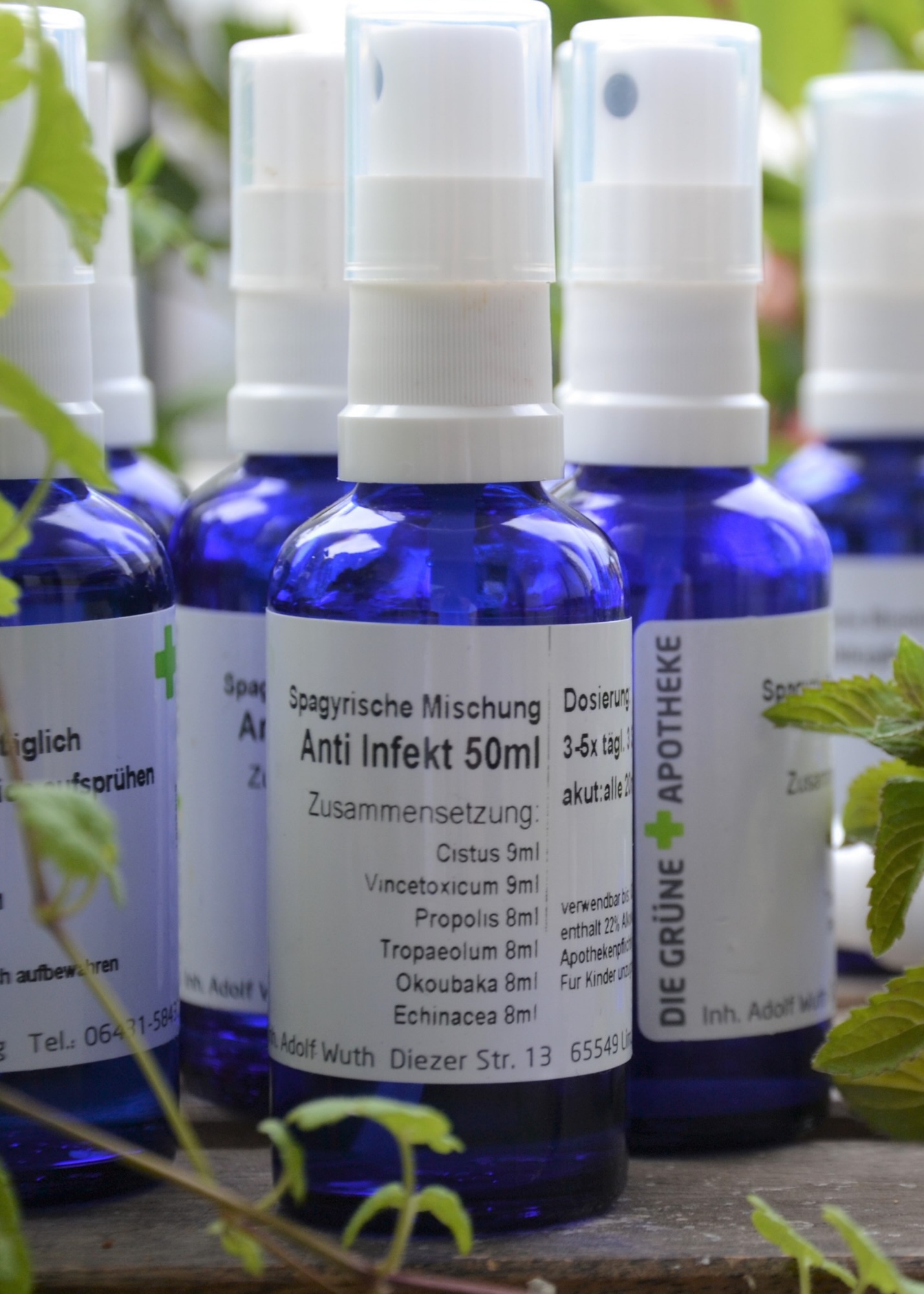 Spagyrik Spray Anti Infekt